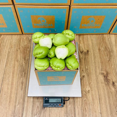 Fresh Chayote Squash Box Squashes & Gourds Tropical Fruit Box